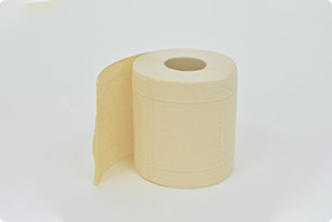 Bamboo pulp tissue