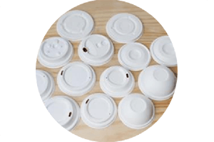 Sugarcane bagasse coffee capsule