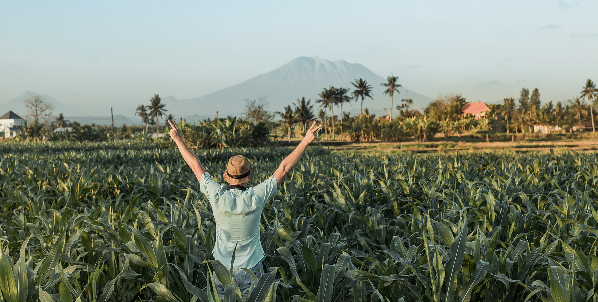 Compostable in 90 Days